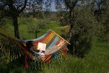 Hammock