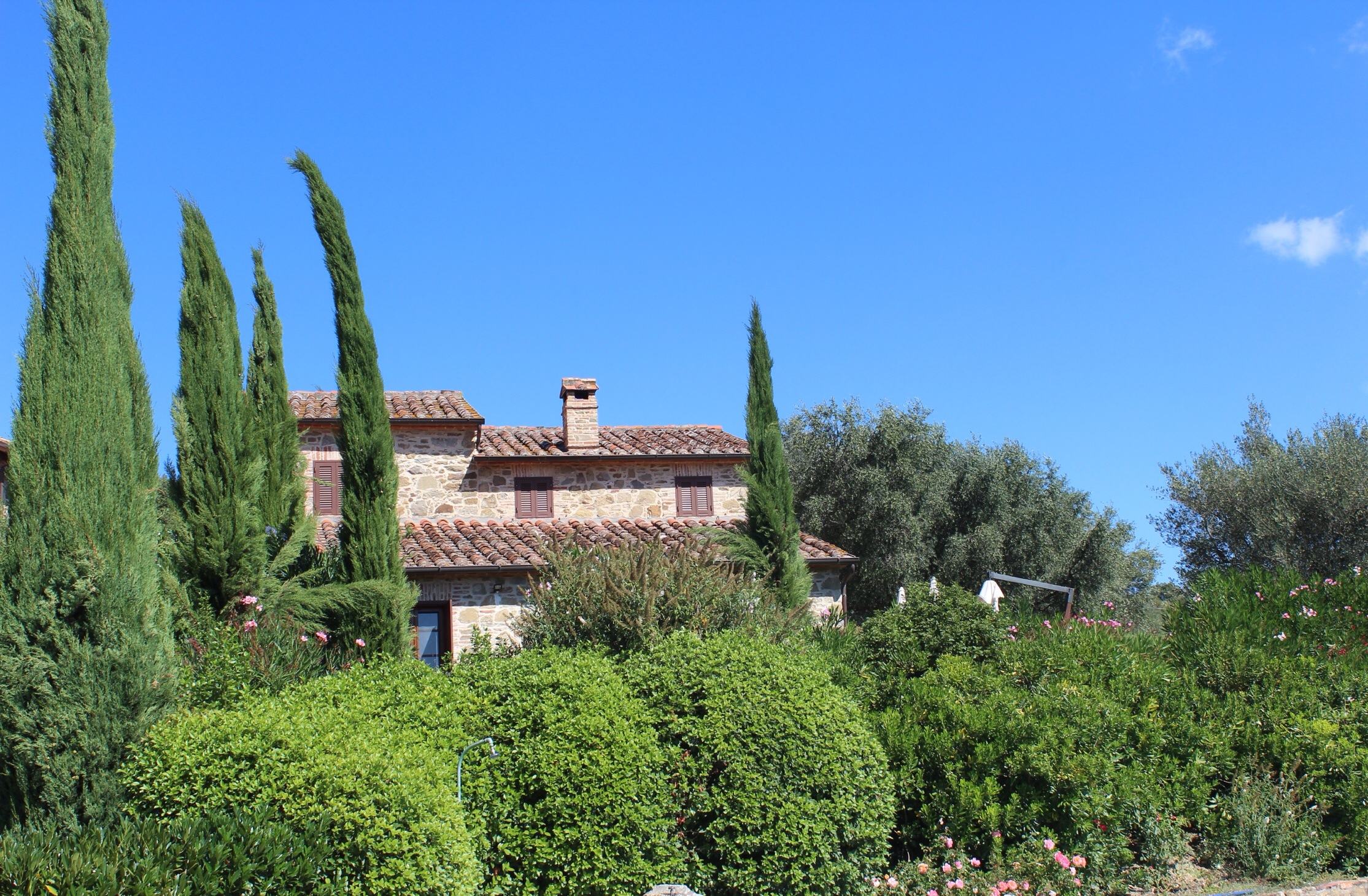 The farmhouse among the cypresses